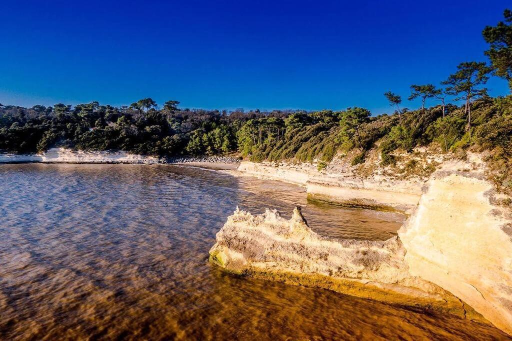 Entre Plage Et Foret - Agreable T3 Saint-Georges-de-Didonne Bagian luar foto